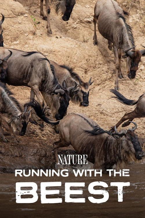 Running With The Beest 2022 official movie poster