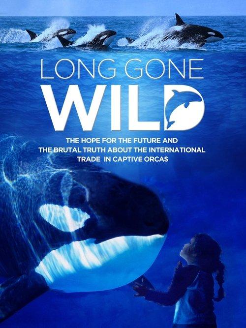 Long Gone Wild 2019 official movie poster