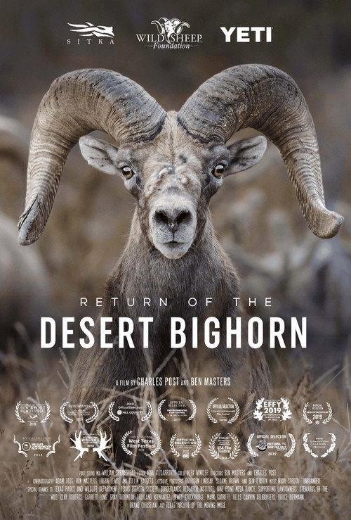 Return of the Desert Bighorn 2018 official movie poster