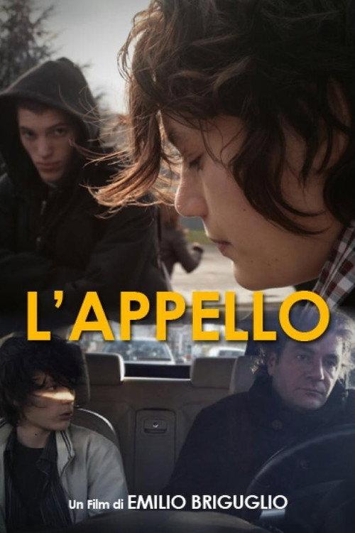L'appello 2010 official movie poster