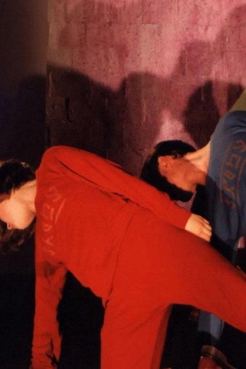 Pas de Stoelen 1994 official movie poster