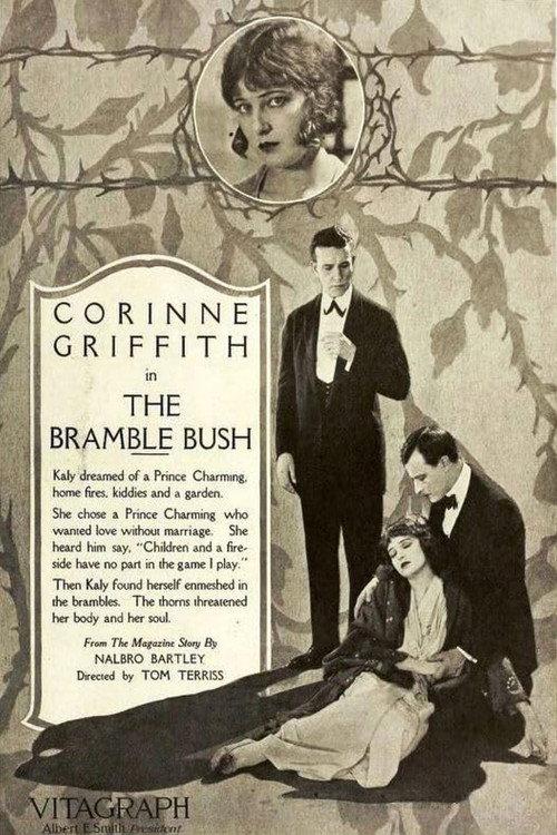 The Bramble Bush 1919 official movie poster