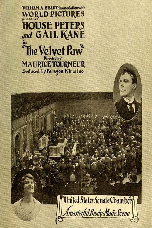 The Velvet Paw 1916 official movie poster