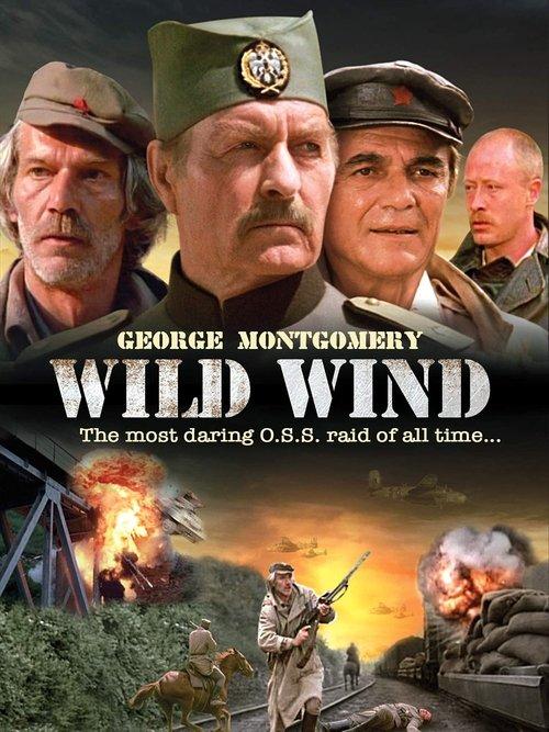 Wild Wind 1985 official movie poster