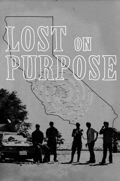 Lost on Purpose 2013 official movie poster