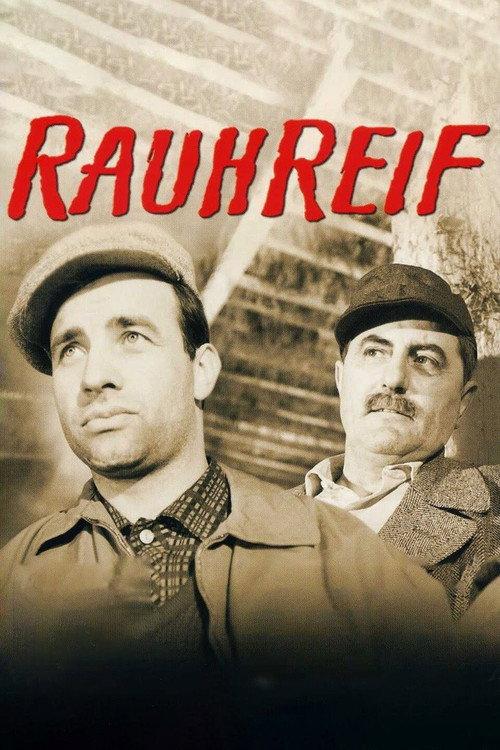 Rauhreif 1963 official movie poster