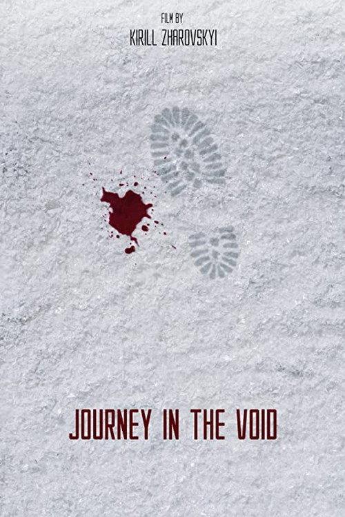 Journey in the Void 2021 official movie poster