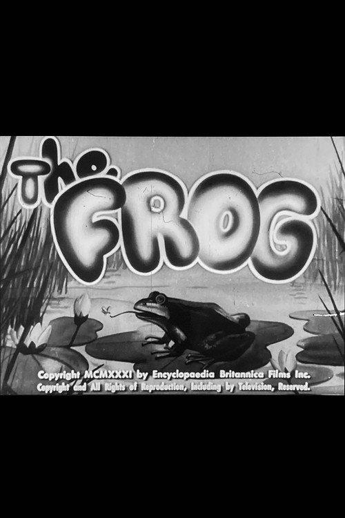 The Frog 1931 official movie poster