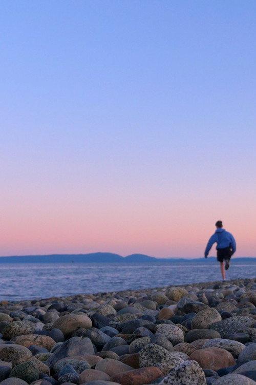 The Beauty Of Summer Like Weather 2024 official movie poster