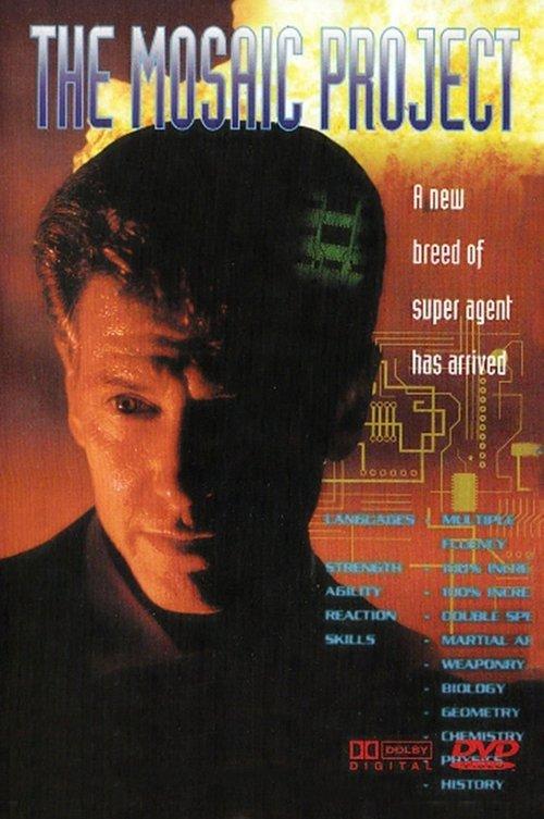 The Mosaic Project 1994 official movie poster