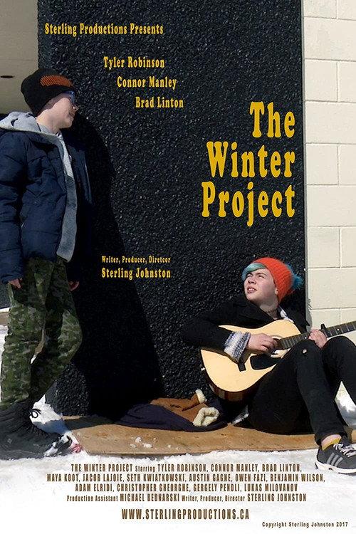 The Winter Project 2017 official movie poster