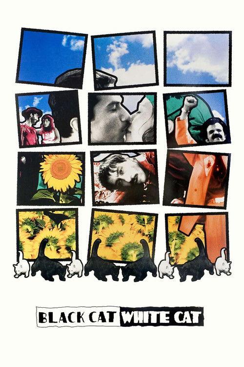 Black Cat, White Cat 1998 official movie poster