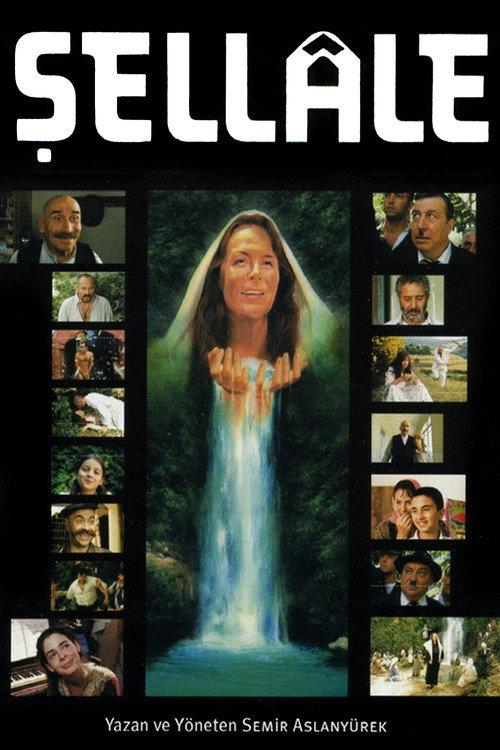 The Waterfall 2001 official movie poster
