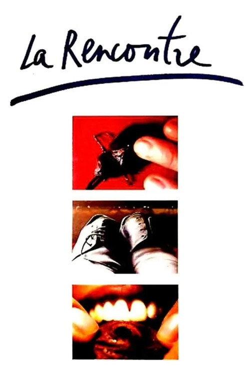 The Encounter 1996 official movie poster