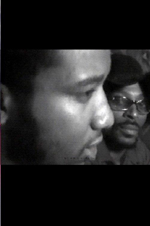 Fred Hampton: Black Panthers in Chicago 1969 official movie poster
