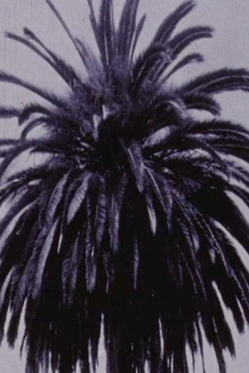Self-Portrait As A City 1977 official movie poster