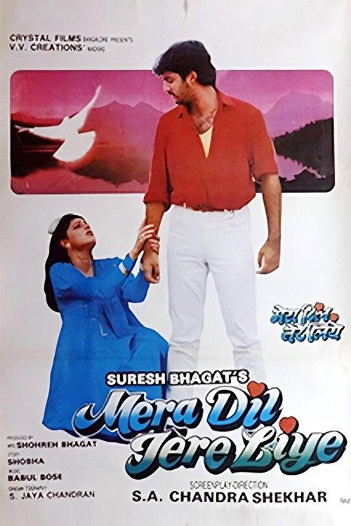 Mera Dil Tere Liye 1992 official movie poster