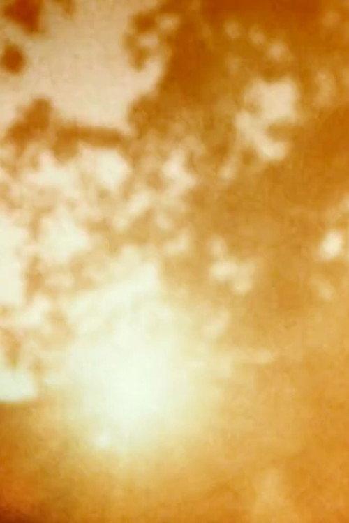 Dissolutions 2001 official movie poster