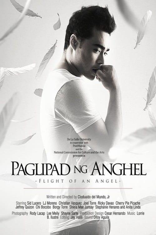 Flight of an Angel 2011 official movie poster