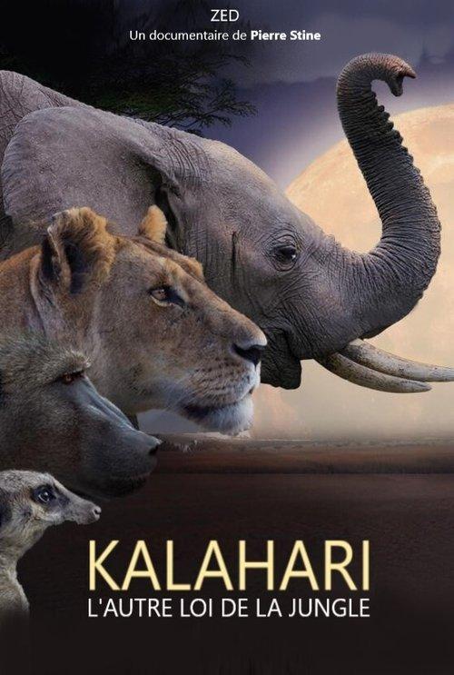 Kalahari, l'autre loi de la jungle 2021 official movie poster