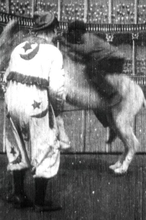 Trick Donkey 1903 official movie poster