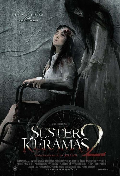 Evil Nurse 2 2011 official movie poster