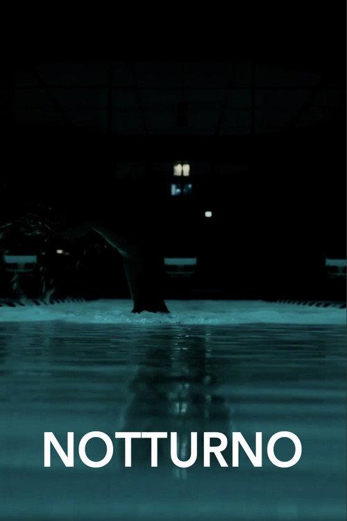 Notturno 2019 official movie poster