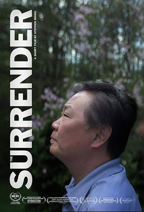 The Surrender 2015 official movie poster
