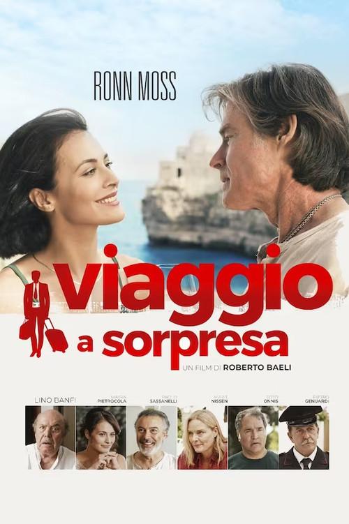 Viaggio a sorpresa 2022 official movie poster