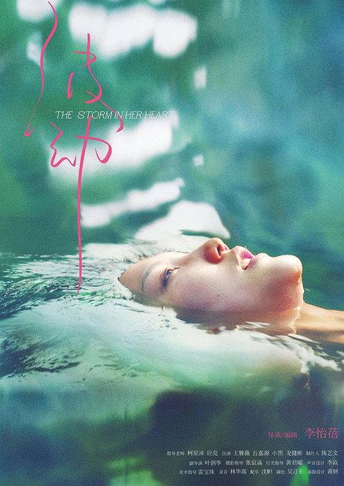 The Storm in Her Heart 2024 official movie poster