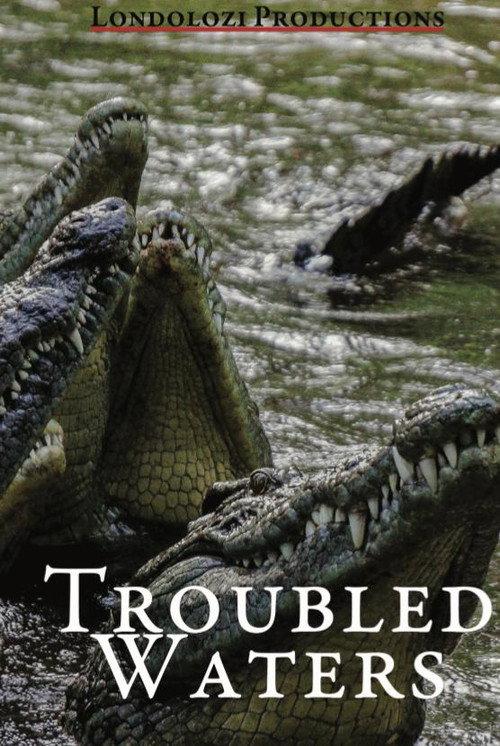 Troubled Waters 1993 official movie poster