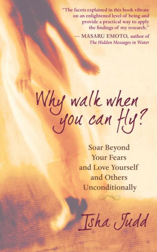 Why Walk When You Can Fly? The Movie official movie poster