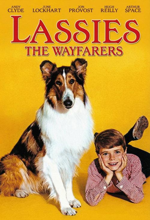 Lassie: The Wayfarers 1964 official movie poster