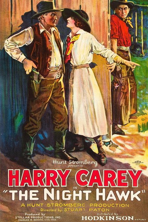 The Night Hawk 1924 official movie poster