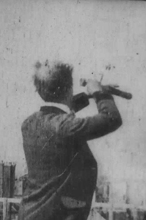 Scenes From My Balcony 1901 official movie poster