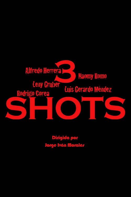 3 Shots 2011 official movie poster