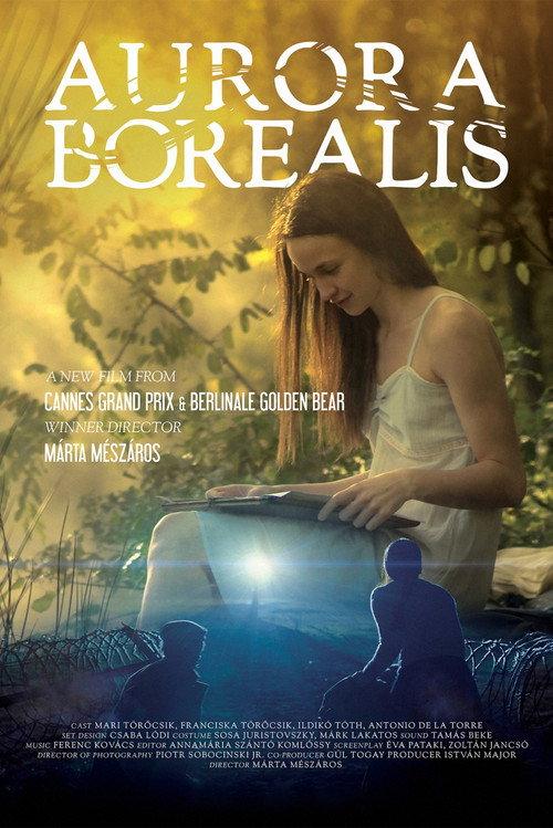 Aurora Borealis: Northern Light 2017 official movie poster