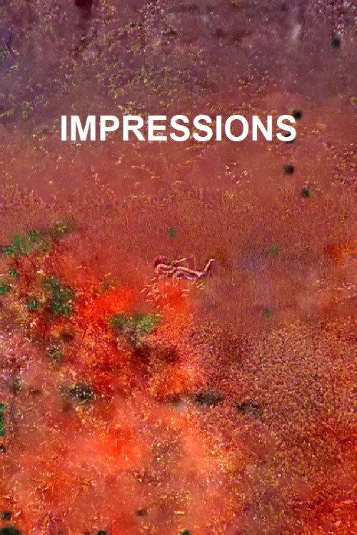 Impressions 2012 official movie poster