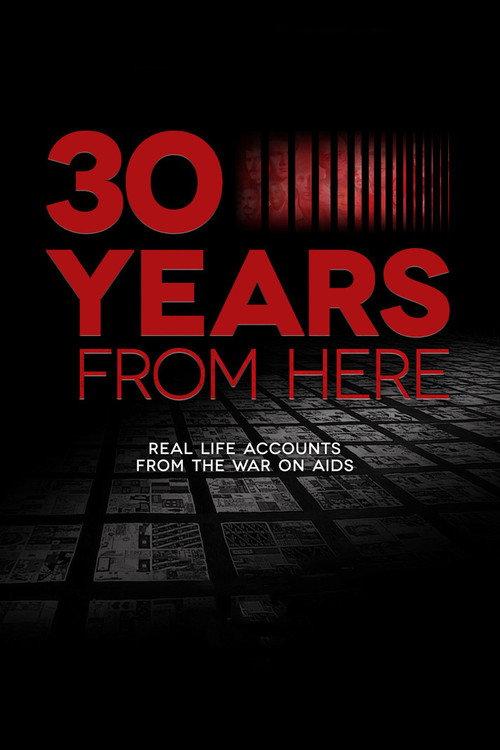 30 Years from Here 2011 official movie poster