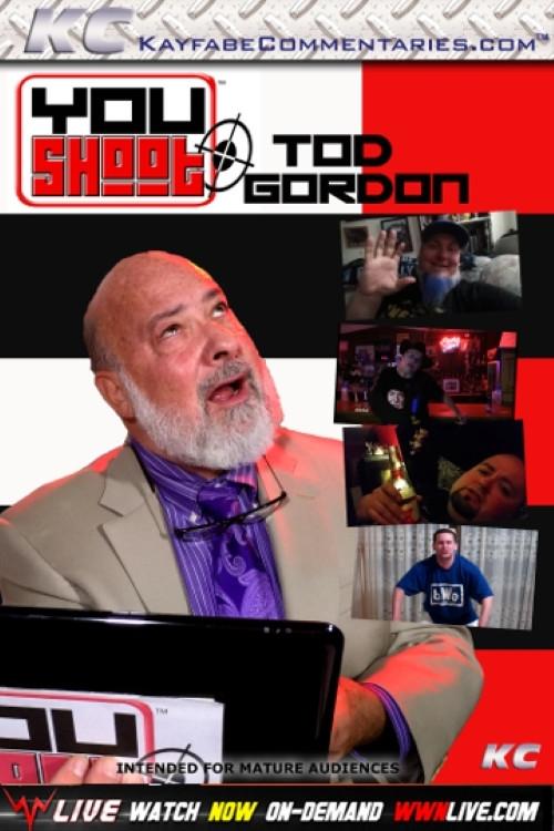 YouShoot: Tod Gordon 2017 official movie poster