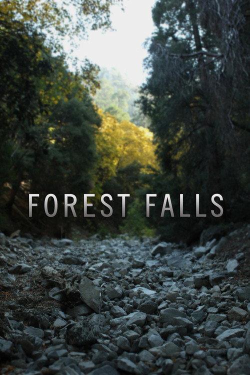 Forest Falls 2011 official movie poster