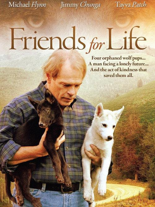 Friends for Life 2008 official movie poster