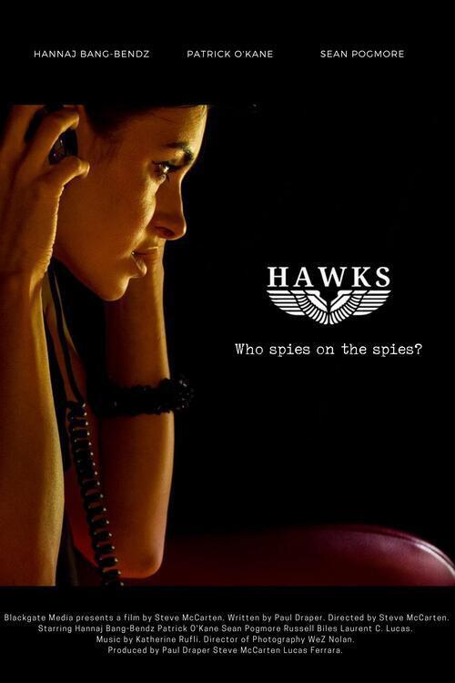 Hawks 2023 official movie poster