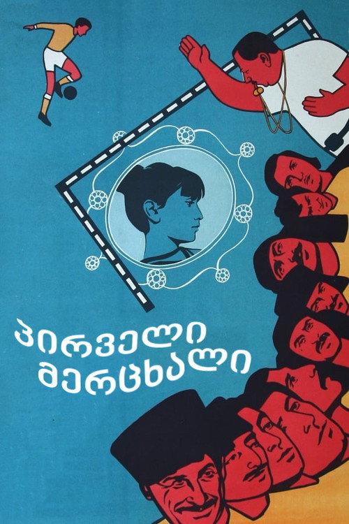 The First Swallow 1975 official movie poster