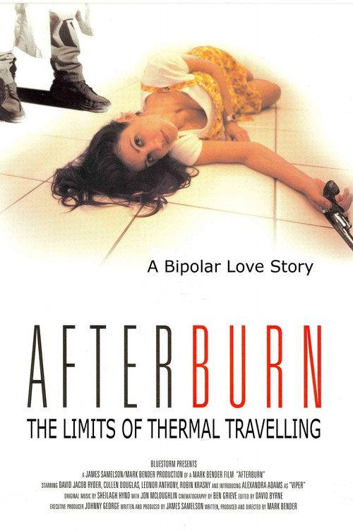 The Limits of Thermal Travelling 1995 official movie poster