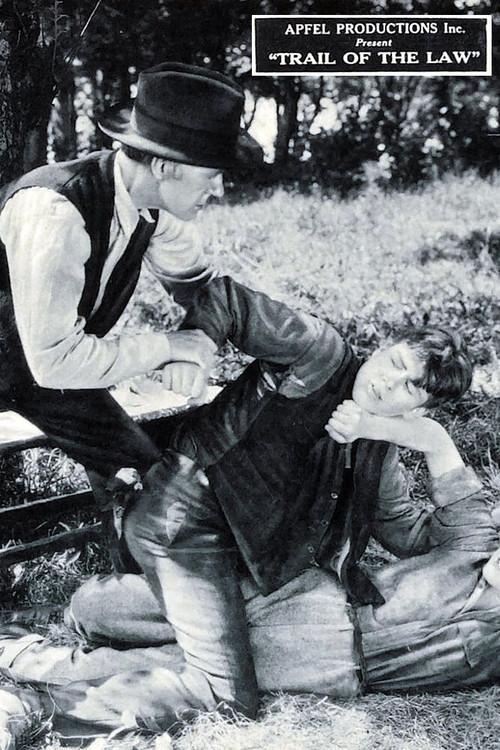 The Trail of the Law 1924 official movie poster