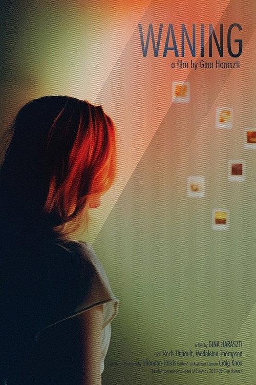 Waning 2011 official movie poster