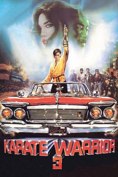 Karate Warrior 3 1991 official movie poster