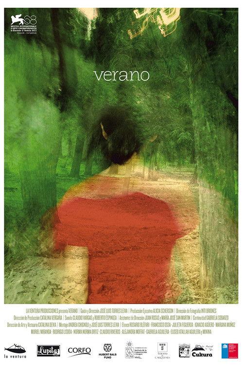 Verano 2011 official movie poster