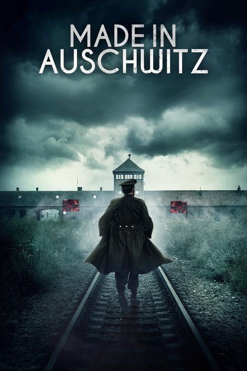 Made in Auschwitz: The Untold Story of Block 10 2019 official movie poster
